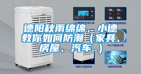 亚洲人成综合第一网站 德阳秋雨绵绵，小德教你如何防潮（家具、房屋、汽车..）