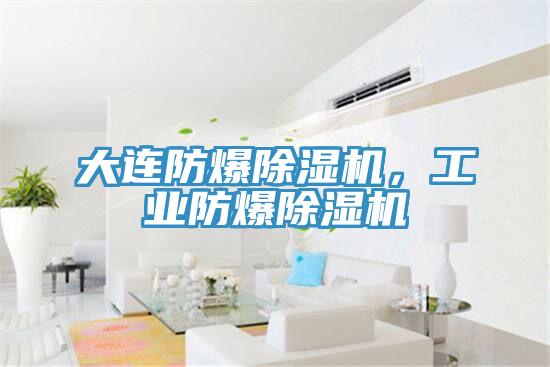 亚洲人成综合第一网站 大连防爆除湿机，工业防爆除湿机
