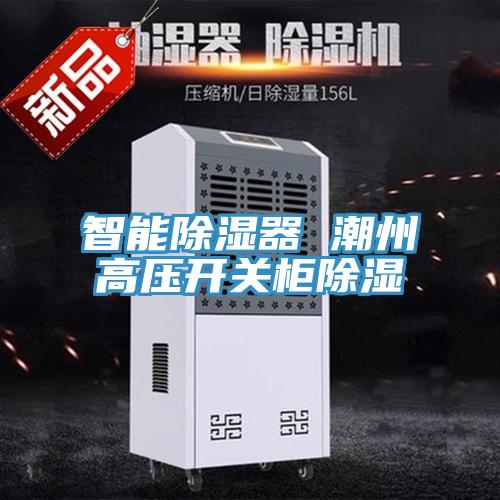 亚洲欧美一级特黄大片 智能除湿器 潮州高压开关柜除湿