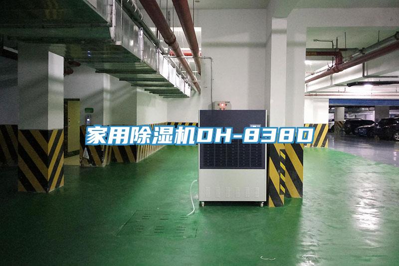 亚洲欧美一级特黄大片 家用除湿机DH-838D