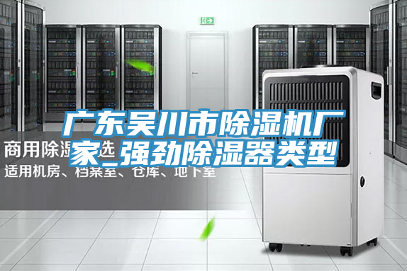 亚洲人成综合第一网站 广东吴川市除湿机厂家_强劲除湿器类型