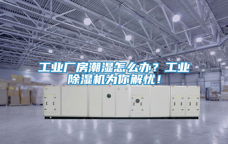 亚洲乱码一区二区三区 工业厂房潮湿怎么办？工业除湿机为你解忧！
