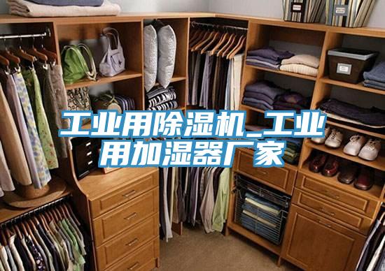 亚洲欧美一级特黄大片 工业用除湿机_工业用加湿器厂家