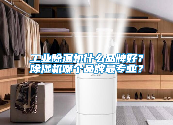 亚洲乱码一区二区三区 工业除湿机什么品牌好？除湿机哪个品牌最专业？