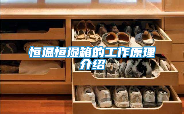亚洲乱码一区二区三区 恒温恒湿箱的工作原理介绍