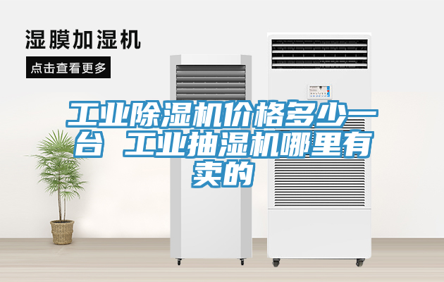 亚洲欧美一级特黄大片 工业除湿机价格多少一台 工业抽湿机哪里有卖的