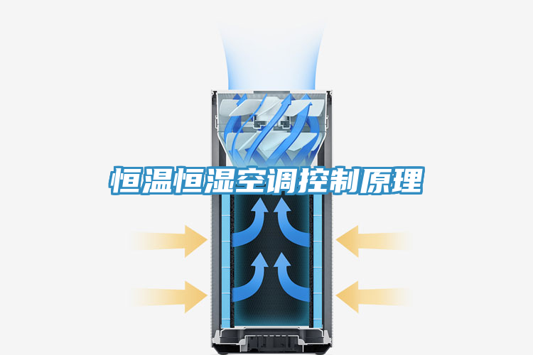 亚洲欧美一级特黄大片 恒温恒湿空调控制原理