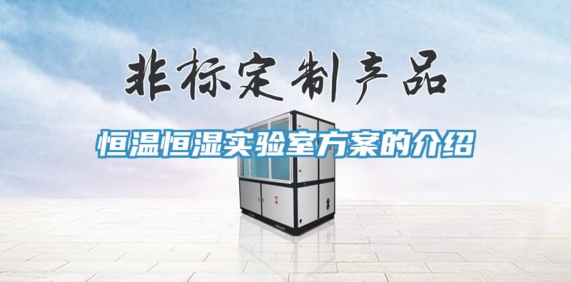 亚洲人成综合第一网站 恒温恒湿实验室方案的介绍