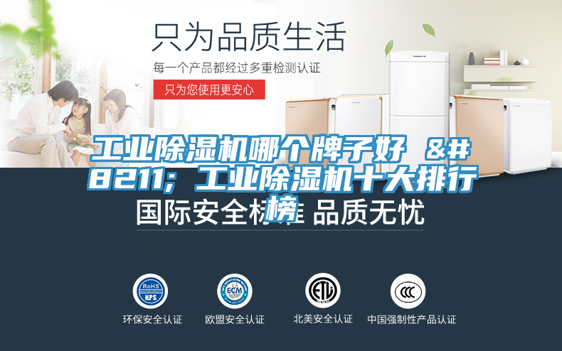 亚洲欧美一级特黄大片 工业除湿机哪个牌子好 – 工业除湿机十大排行榜