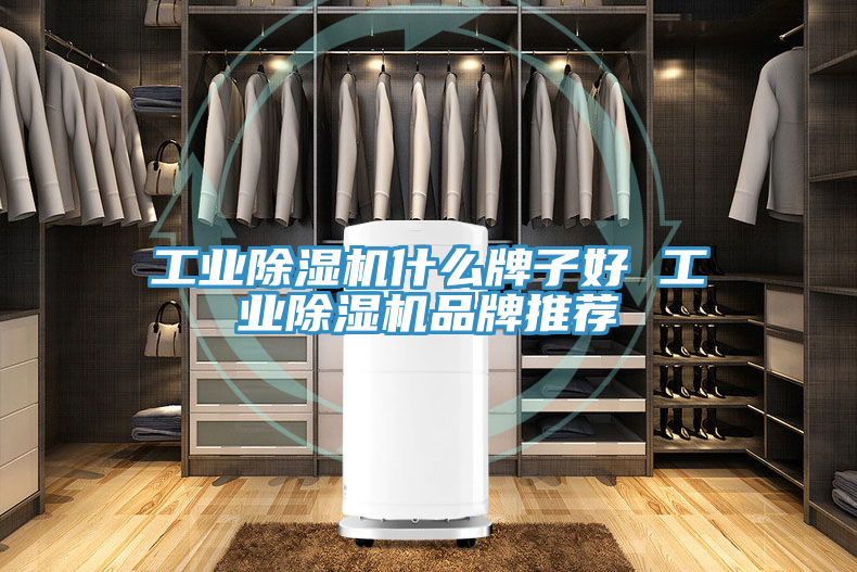 亚洲人成综合第一网站 工业除湿机什么牌子好 工业除湿机品牌推荐