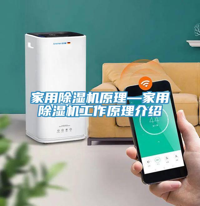 亚洲人成综合第一网站 家用除湿机原理—家用除湿机工作原理介绍