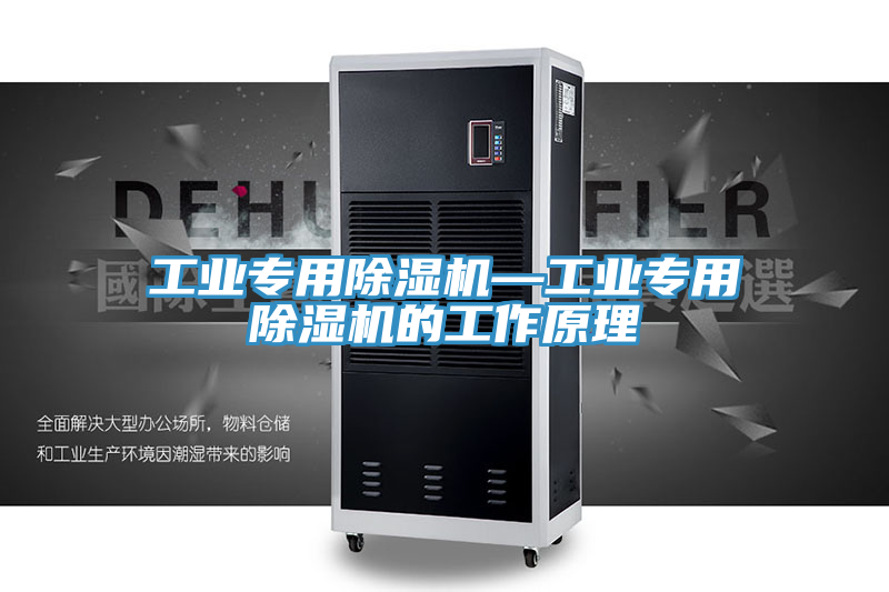 亚洲欧美一级特黄大片 工业专用除湿机—工业专用除湿机的工作原理