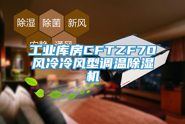 亚洲人成综合第一网站 工业库房CFTZF70风冷冷风型调温除湿机