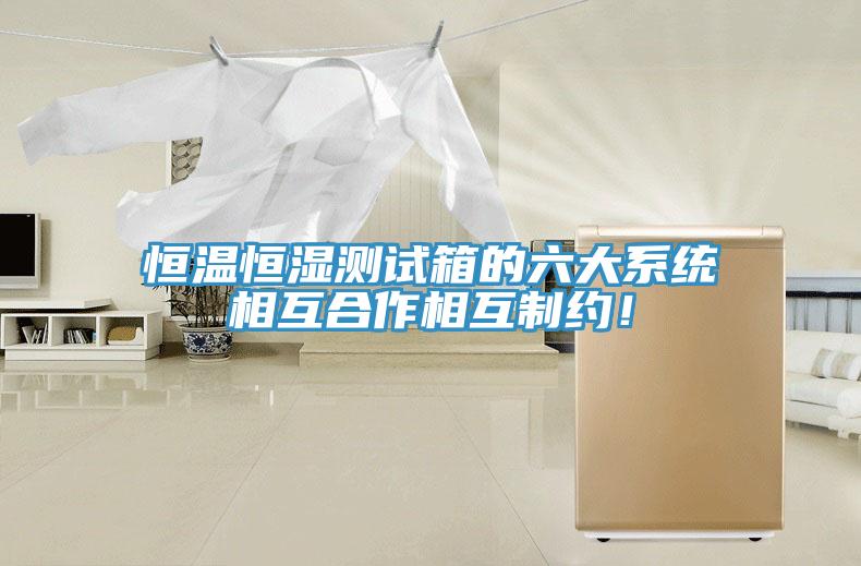 亚洲欧美一级特黄大片 恒温恒湿测试箱的六大系统相互合作相互制约！