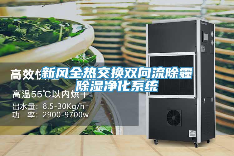 亚洲人成综合第一网站 新风全热交换双向流除霾除湿净化系统