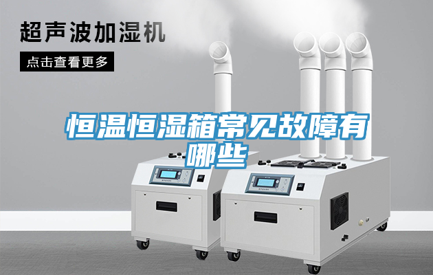 亚洲人成综合第一网站 恒温恒湿箱常见故障有哪些