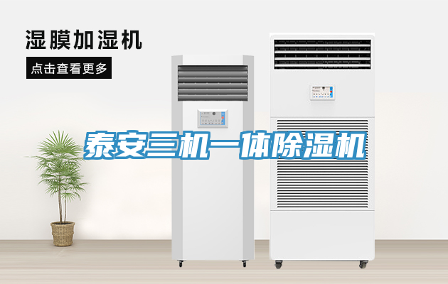 亚洲欧美一级特黄大片 泰安三机一体除湿机