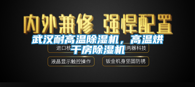 亚洲欧美一级特黄大片 武汉耐高温除湿机，高温烘干房除湿机
