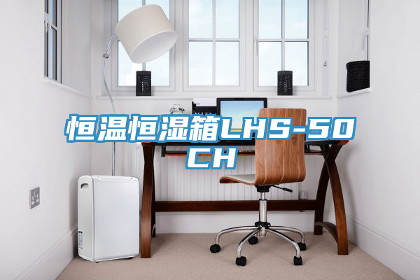 亚洲乱码一区二区三区 恒温恒湿箱LHS-50CH