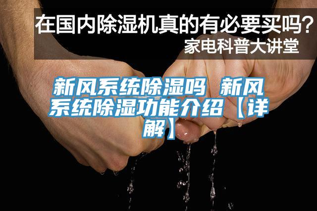 亚洲乱码一区二区三区 新风系统除湿吗 新风系统除湿功能介绍【详解】
