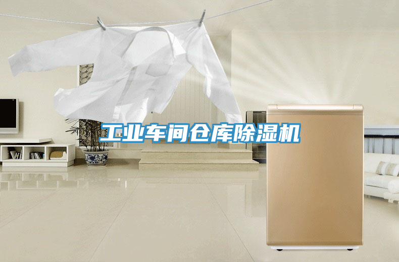 亚洲欧美一级特黄大片 工业车间仓库除湿机