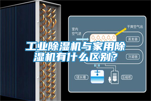 亚洲欧美一级特黄大片 工业除湿机与家用除湿机有什么区别？