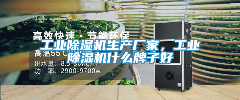 亚洲欧美一级特黄大片 工业除湿机生产厂家，工业除湿机什么牌子好