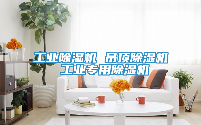 亚洲乱码一区二区三区 工业除湿机 吊顶除湿机 工业专用除湿机