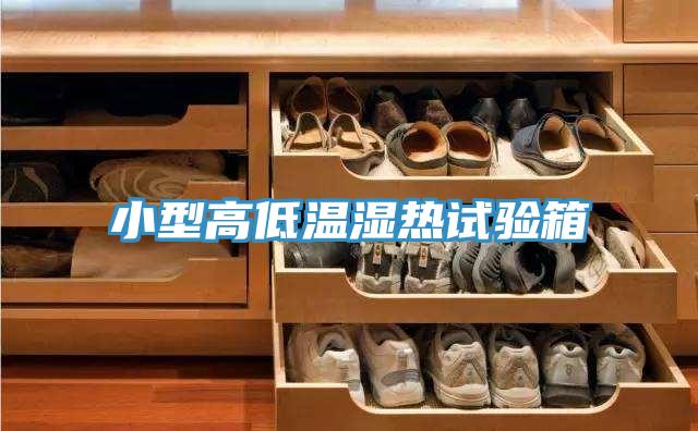 亚洲人成综合第一网站 小型高低温湿热试验箱