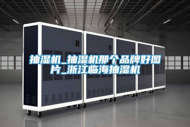 亚洲乱码一区二区三区 抽湿机_抽湿机那个品牌好图片_浙江临海抽湿机