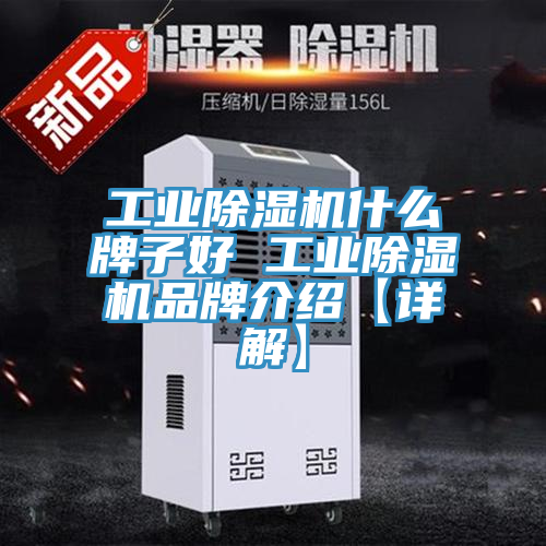 亚洲欧美一级特黄大片 工业除湿机什么牌子好 工业除湿机品牌介绍【详解】