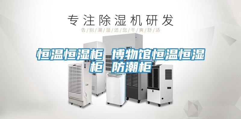 亚洲欧美一级特黄大片 恒温恒湿柜 博物馆恒温恒湿柜 防潮柜