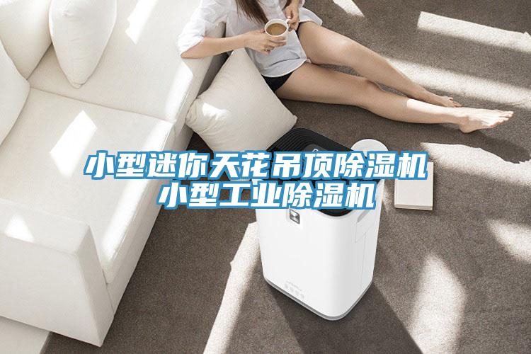 亚洲乱码一区二区三区 小型迷你天花吊顶除湿机 小型工业除湿机