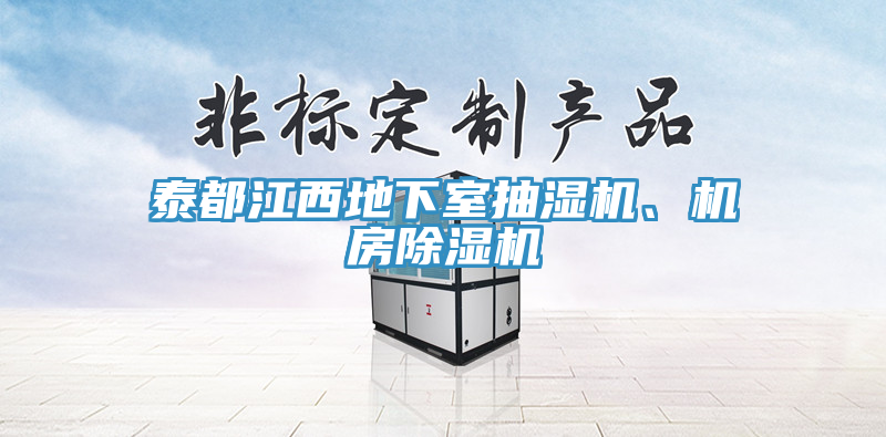 亚洲人成综合第一网站 泰都江西地下室抽湿机、机房除湿机
