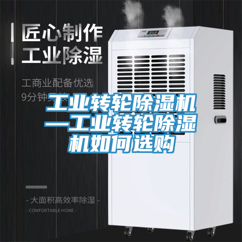 亚洲乱码一区二区三区 工业转轮除湿机—工业转轮除湿机如何选购