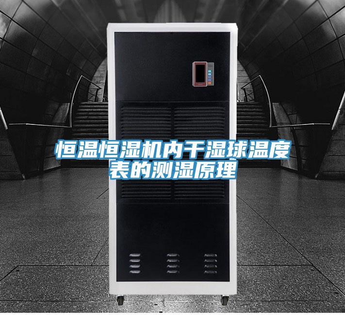 亚洲人成综合第一网站 恒温恒湿机内干湿球温度表的测湿原理
