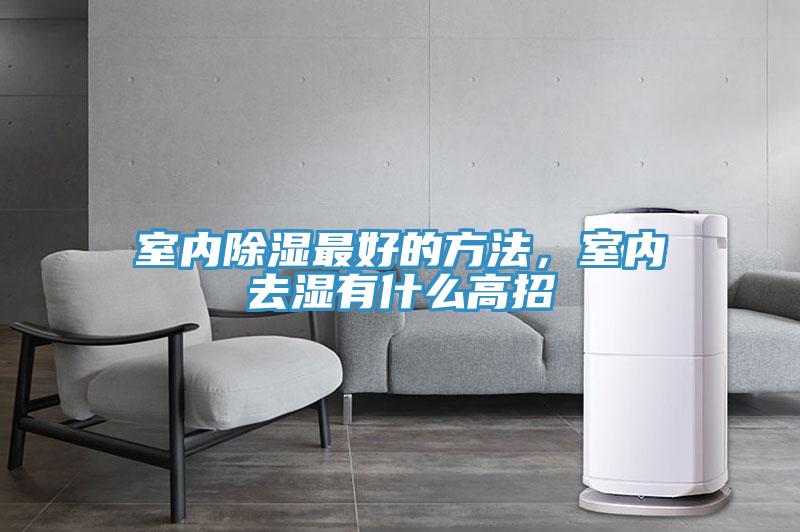 亚洲人成综合第一网站 室内除湿最好的方法，室内去湿有什么高招