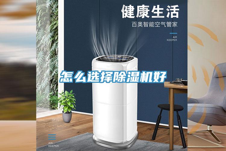 亚洲人成综合第一网站 怎么选择除湿机好