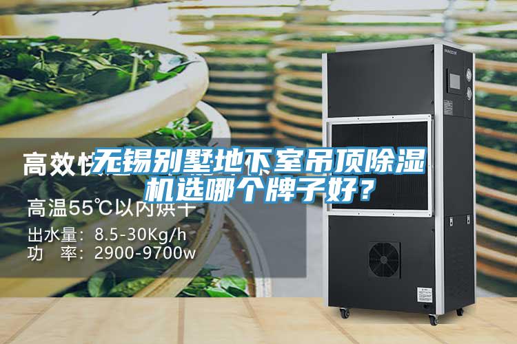 亚洲人成综合第一网站 无锡别墅地下室吊顶除湿机选哪个牌子好？