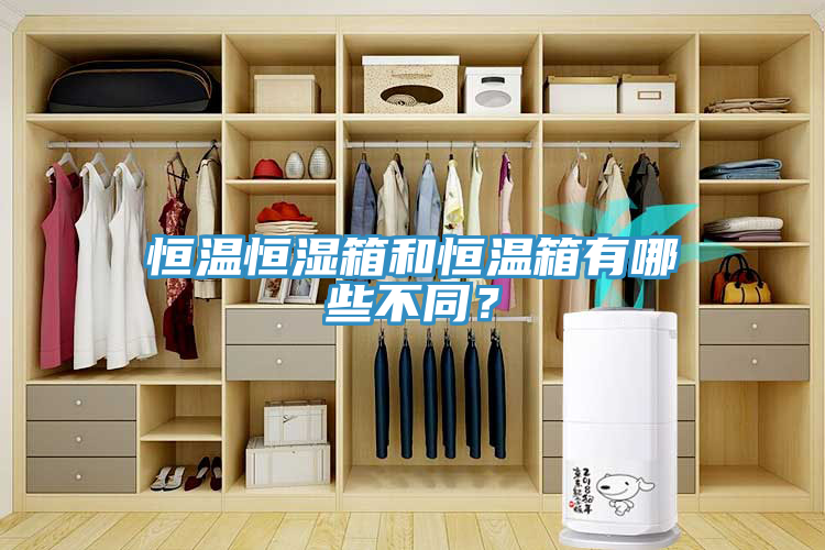 亚洲人成综合第一网站 恒温恒湿箱和恒温箱有哪些不同？