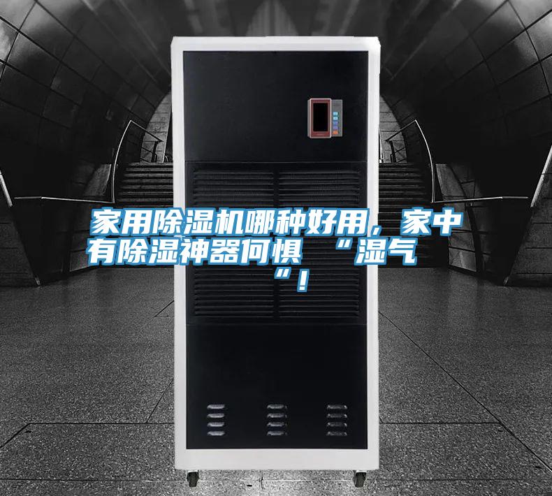 亚洲乱码一区二区三区 家用除湿机哪种好用，家中有除湿神器何惧 “湿气 “！