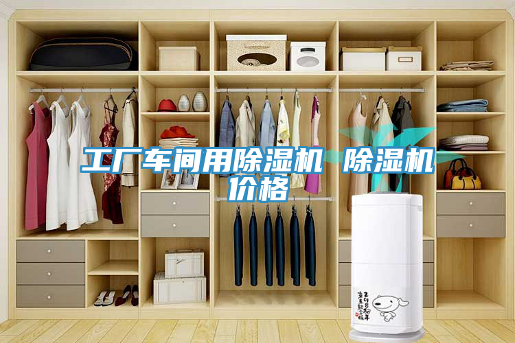 亚洲人成综合第一网站 工厂车间用除湿机 除湿机价格