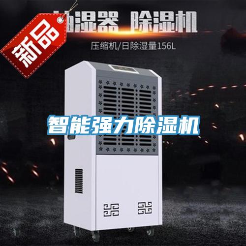 亚洲欧美一级特黄大片 智能强力除湿机
