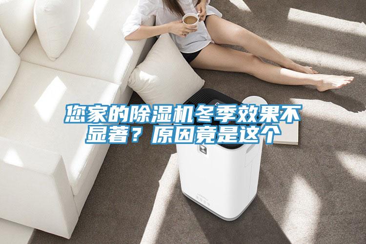 亚洲欧美一级特黄大片 您家的除湿机冬季效果不显著？原因竟是这个