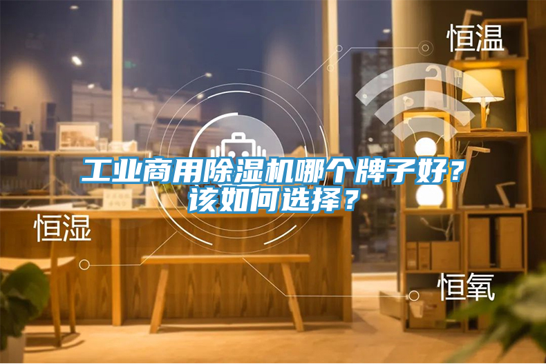 亚洲欧美一级特黄大片 工业商用除湿机哪个牌子好？该如何选择？
