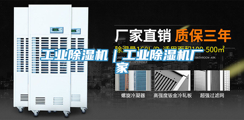 亚洲人成综合第一网站 工业除湿机｜工业除湿机厂家
