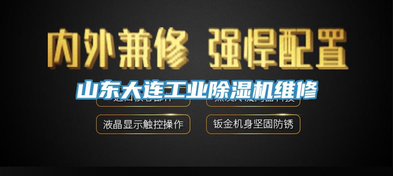 亚洲欧美一级特黄大片 山东大连工业除湿机维修