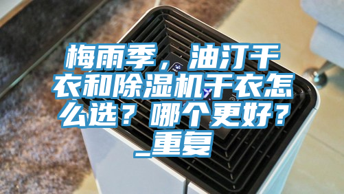 亚洲欧美一级特黄大片 梅雨季，油汀干衣和除湿机干衣怎么选？哪个更好？_重复