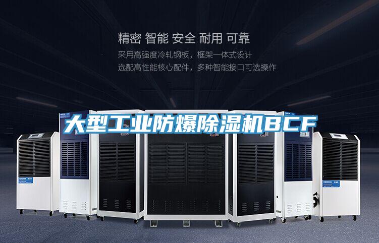 亚洲人成综合第一网站 大型工业防爆除湿机BCF