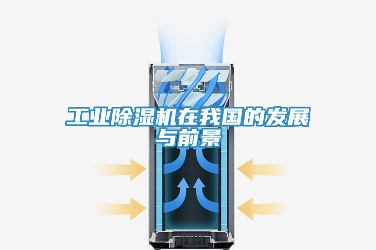 亚洲乱码一区二区三区 工业除湿机在我国的发展与前景